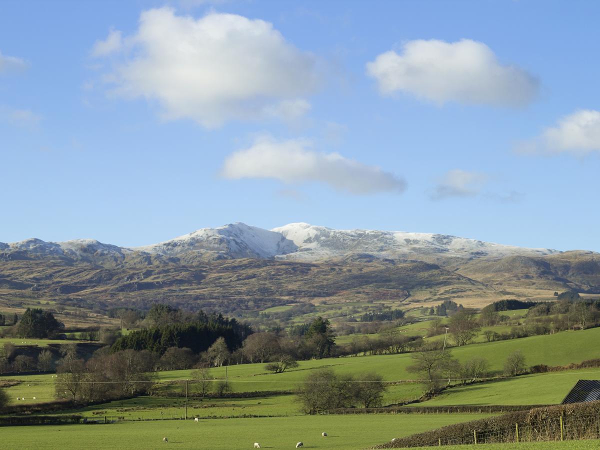 Cyffdy Cottage - Arenig Bala Exterior foto